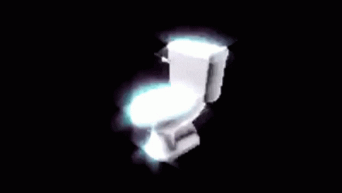 polish toilet speen
